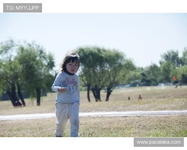 专家解析真人国际下载app的安全性与稳定性，选择正规渠道保障你的娱乐体验与个人信息安全